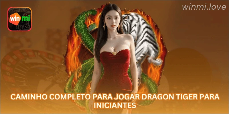 Caminho completo para jogar Dragon Tiger para iniciantes.