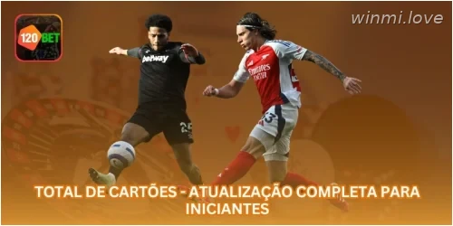 Total de Cartões - Atualização Completa para Iniciantes