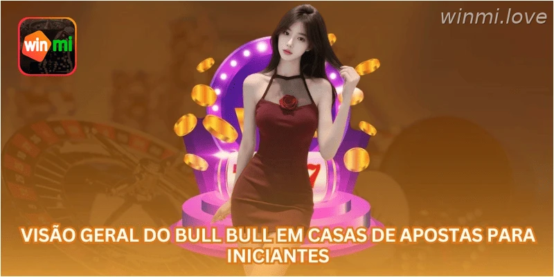 Visão geral do bull bull em casas de apostas para iniciantes